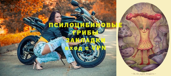 гашик Волосово