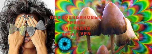 apvp Володарск
