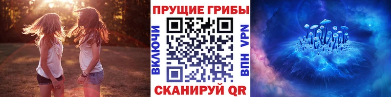 Псилоцибиновые грибы мицелий Сельцо