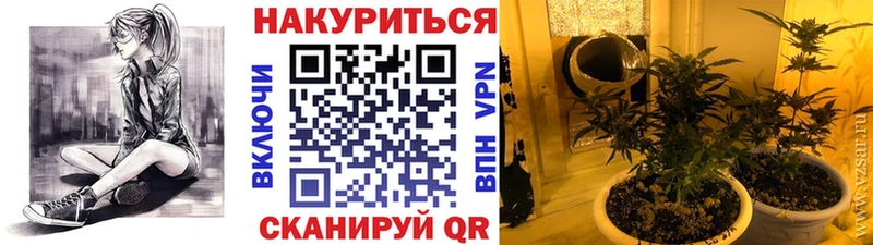 гидра   где купить наркоту  Сельцо  Шишки марихуана LSD WEED 